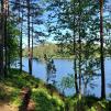 Rantamaisema.